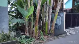 Jual Tanah di Cinere PLN Depok-Murah 3 Juta / MTR | Murah Bebas Banjir