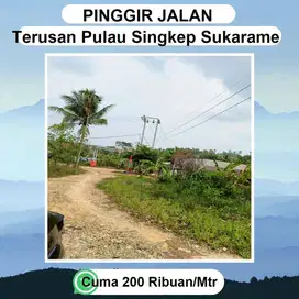 Tanah sangat2 strateghis DI PINGGIR JALAN UTAMA TERUSAN PULAU SINGKEP