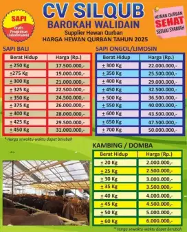 Jual sapi kurban jabodetabek