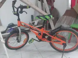 Sepeda Anak merk Wincycle