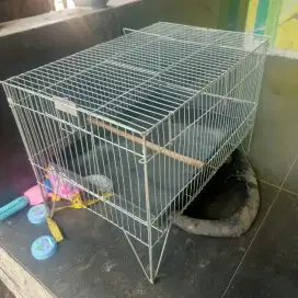 Keramba mandi burung