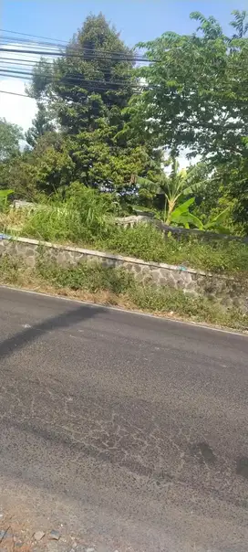 TANAH POROS JALAN RAYA PANGGUNGREJO KEPANJEN MALANG