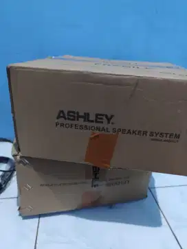 speaker merk ashley
