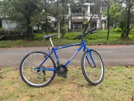 Sepeda federal Torino