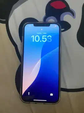 Ip 12 pro max 256 mulus banget ex ibox