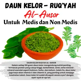 Teh Herbal Daun Kelor Kering