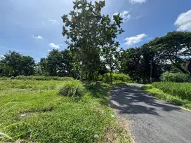 Jual Pekarangan Murah, Tanah Palagan Sleman