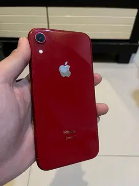 Iphone Xr 128gb inter Allop