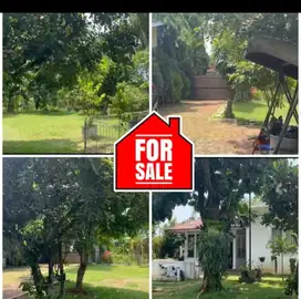 Dijual Tanah cocok Usaha Cafe  di Tapos Cimanggis Depok
