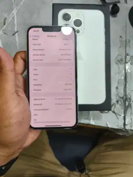 Iphone 13 Pro 256Gb pa/a Ibox resmi mlus lngkp ori no minus bs TT