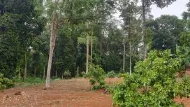 Dijual Tanah Murah jl. Rejosari Ngijo Gunungpati Semarang