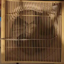 Exhaust fan/kipas angin