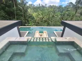 Jual Villa Mewah New View Jugle in Tampaksiring Gianyar Bali.Ubud Bali
