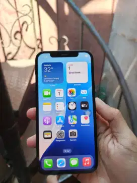 Iphone 12 fullset 228gb ex inter all operator