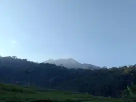 Tanah SHM 1498 m² Lokasi Pinggir Jalan Raya Grabag-Sekar Langit