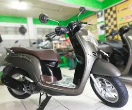 Cl.SCOOPY STYLISH 2022 DP500