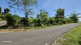 Tanah hook pinggir jalan 50 are / 5000m2 di Pengambengan