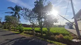 Disewakan Tanah Area Pererenan