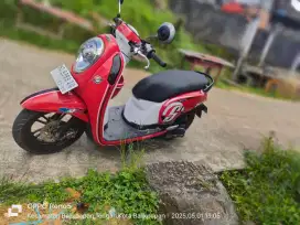 Scoopy stater halus limited edition