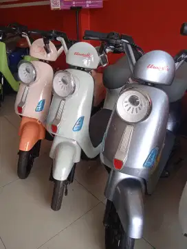 Sepeda Listrik U-winfly 2025 (T60)