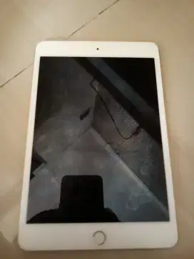 Ipad Mini 4 (bekas)