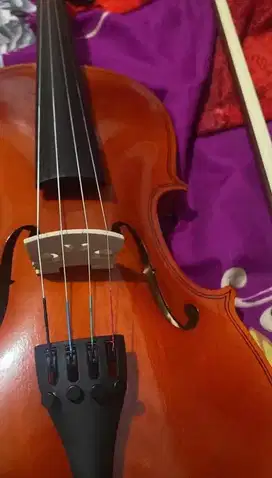Biola / Violin mandalika