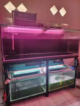 Aquarium fullset 7 aquarium