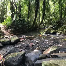 Di jual tanah kebun pinggir jalan langsung sungai