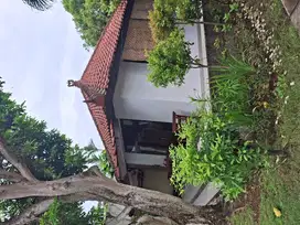 tanah SHM Di Jual gratis villa di oberoi seminyak