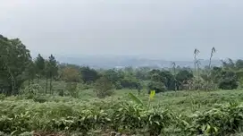 Jual Tanah murah 12.786m di Cijayanti Sentul Bogor