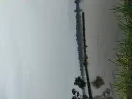 TANAH LUAS CIKONENG BOJONGSOANG UNTUK DIBANGUN PERUMAHAN