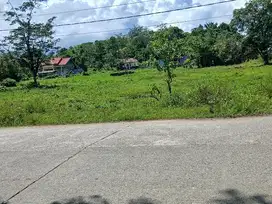 Jual Tanah di Kab.Sorong Sp 2 dekat perempatan Pasar induk