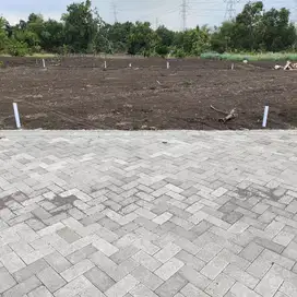 TANAH MURAH SIAP BANGUN DI RANDUPADANGAN MENGANTI GRESIK
