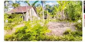 JUAL TANAH DS SAMPETAN