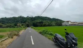 Sawah zona kuning prambanan sleman view bukit2