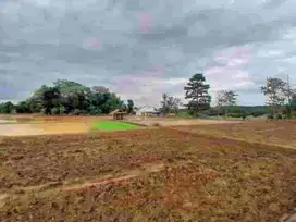 Dijual Tanah Strategis Pinggir Jalan Desa Cilandak Cibatu Purwakarta