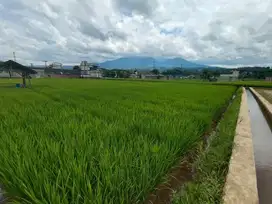 Dijual cepat sebidang tanah sawah samping perumahan di Banjaran kota
