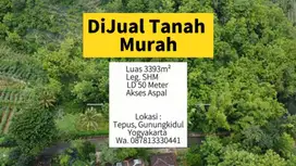 Dijual Tanah Jalur wisata pantai Luas 3393m² Harga 155 juta