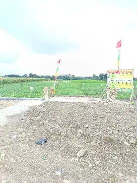 Tanah kavling dekat pabrik di desa padakaton ketanggungan brebes