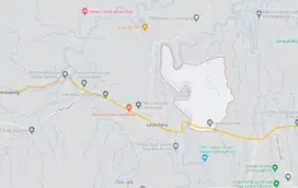 NEGO SAMPAI DEAL DIJUAL Tanah Murah 30 HA, Galuga Raya dekat IPB Bogor