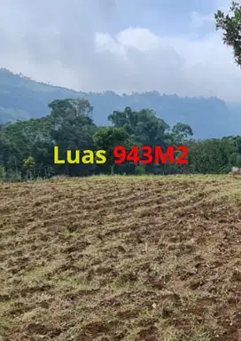 DIJUAL TANAH DI KAWASAN WISATA BROMO