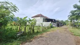 Dijual Tanah Kavling View Sawah Dekat Pantai Tukadmungga