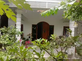 RUMAH DIJUAL DI JOGJA HOOK TANAH LUAS DI BERBAH SLEMAN YOGYAKARTA