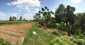 Tanah Investasi Villa. Dekat ke UBUD