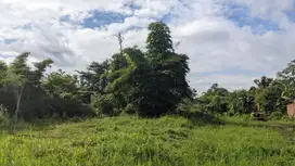 Tanah Dekat Pabrik Gula Kebonagung dan Samsat, Wagir