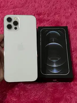 iPhone 12 Pro 512GB Inter All Operator