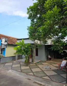 Batu koral sikat garasi