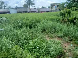 Jual Tanah di Kota Sorong Kilo 13, Moyo