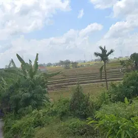 DIJUAL TANAH PREMIUM MURAH DAERAH MUNGGU