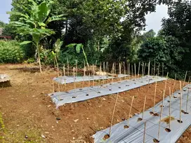 Di jual cepat tanah cidokom parung